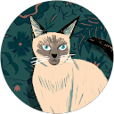 K S profile picture